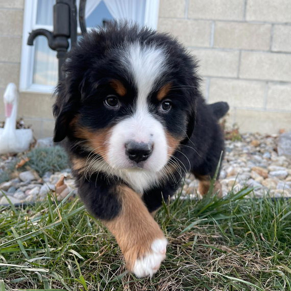 Ezra (2)