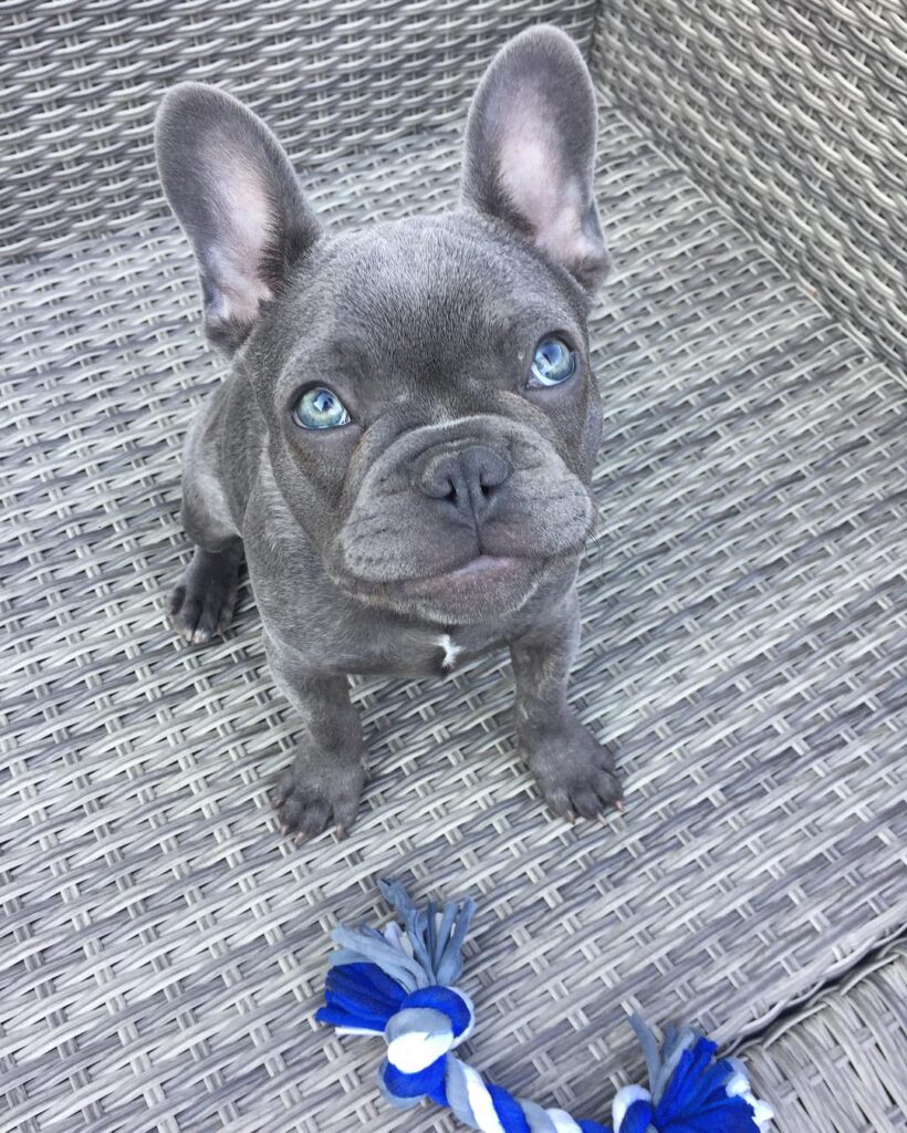 Jada..,,