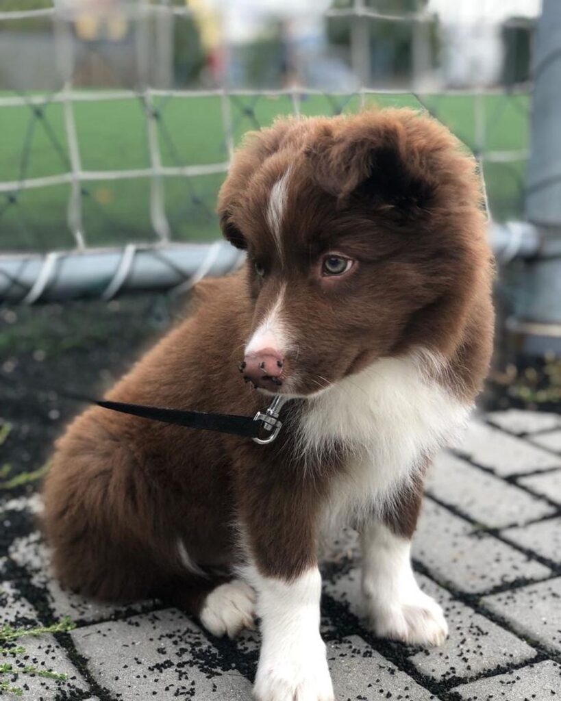 Jake762789